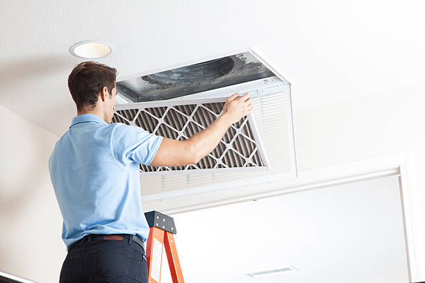 Best HVAC Service Technicians  in Strawberry Plains, TN